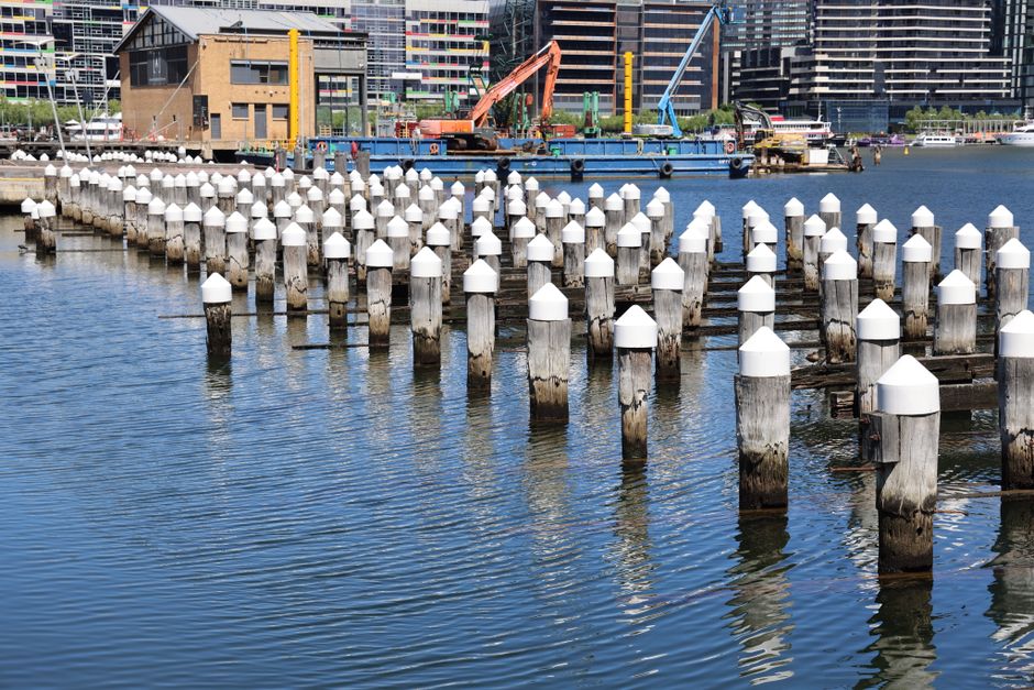 A waterfront scene showing rows of wooden piling posts extending into calm water, each topped with a white conical cap, arranged in a grid pattern. In the background, there is a construction barge equipped with an orange crane and other machinery, positioned near a small wooden cabin-like structure on the water's edge. Surrounding the scene are modern high-rise buildings with glass facades, indicating an urban environment. The lighting suggests daytime with clear weather, as sunlight reflects off the water and highlights the textures of the wooden posts and the construction equipment. This image relates to the concept of private waste management or alternative disposal methods, as it depicts an area where construction or maintenance activities are taking place on the water, similar to how rubbish removal services might operate in less conventional settings, emphasizing the importance of professional supervision and proper material handling in waste collection activities in urban and waterfront environments.