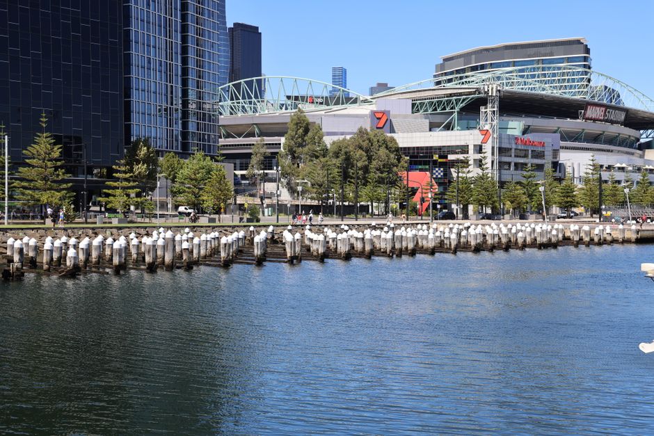 A waterfront scene in an urban area showing a series of weathered wooden mooring posts with white protective caps extending into calm water, arranged in parallel rows. Behind the posts, there is a paved promenade lined with evenly spaced deciduous trees with fresh green leaves. In the background, modern high-rise buildings with glass facades and distinctive architectural designs are visible, along with a large stadium structure featuring a curved roof, and construction cranes. The sky overhead is clear and blue, casting natural light that highlights the textures of the wood, water, and buildings. This setting illustrates a maritime environment adjacent to a commercial or office district, providing contextual relevance to alternative waste handling or on-site clearance services that might operate in similar urban waterfront locations, like those offered by House Clearance Docklands.